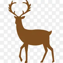 ѱ¹ ʥ����ѱ¹ ʥ����-������