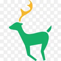 ѱ¹ ʥ����ѱ¹ ʥ����-������