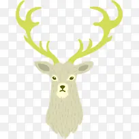 ѱ¹ ʥ����ѱ¹ ʥ����-������