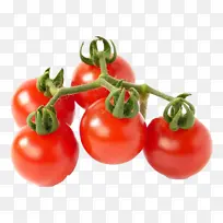 天然食品 蔬菜 食品-空若网 天然食品 蔬菜 食品-空若网