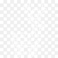 ѱ¹ ʥ����ѱ¹ ʥ����-������