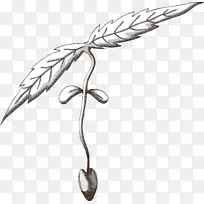 叶子 羽毛 翅膀-空若网 叶子 羽毛 翅膀-空若网