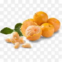 �̽���ˮ��ʳƷ�ɹ�-������