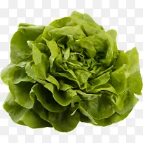 叶菜 蔬菜 食品-空若网 叶菜 蔬菜 食品-空若网