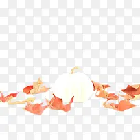 橙色 叶子 植物-空若网 橙色 叶子 植物-空若网