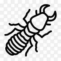 昆虫 线条艺术 画册-空若网 昆虫 线条艺术 画册-空若网