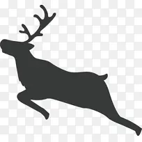 驯鹿 圣诞节驯鹿 圣诞节-空若网 驯鹿 圣诞节驯鹿 圣诞节-空若网