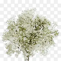 水彩画 油漆 湿墨-空若网 水彩画 油漆 湿墨-空若网