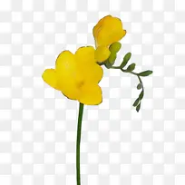 Ë®²Ê» ÑÕÁÏ ÊªÄ«-¿ÕÈôÍø Ë®²Ê» ÑÕÁÏ ÊªÄ«-¿ÕÈôÍø