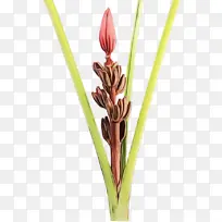 Ë®²Ê» ÑÕÁÏ ÊªÄ«-¿ÕÈôÍø Ë®²Ê» ÑÕÁÏ ÊªÄ«-¿ÕÈôÍø