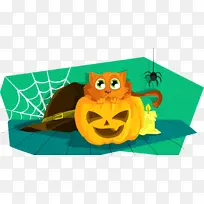 èͷӥ ��ͨ ��ɫ-������