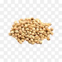 食品 植物 配料-空若网 食品 植物 配料-空若网