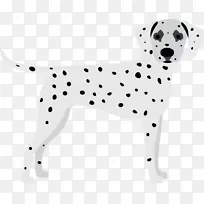 �� ���������Ȯ ��������-������