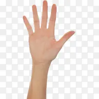 手指 手 皮肤-空若网 手指 手 皮肤-空若网