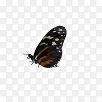 �ɶ�ͺ��� ���� ����-������