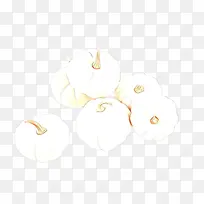 白色 植物-空若网 白色 植物-空若网