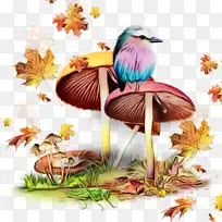 ˮ�� ���� ʪīˮ-������