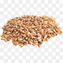 ʳƷ ���� ֲ��-������