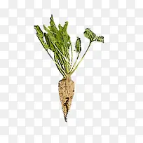 ֲ�� �� �߲�-������