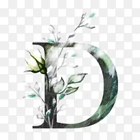 ��ɫ ��֦ ֲ��-������