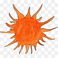 橙色-空若网 橙色-空若网