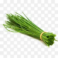 �²� �߲� ���-������