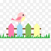 鸟 草 适应-空若网 鸟 草 适应-空若网