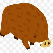 刺猬 鼻子 野猪-空若网 刺猬 鼻子 野猪-空若网