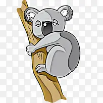 考拉 卡通 动画-空若网 考拉 卡通 动画-空若网