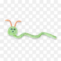 毛虫 昆虫 幼虫-空若网 毛虫 昆虫 幼虫-空若网