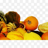 ��ȻʳƷ ���� ����ʳƷ-������