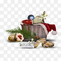 ʥ��װ��Ʒ ʥ��װ�� ʥ����-������