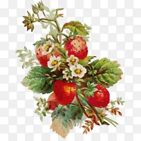 Ë®²Ê» ÓÍÆá ʪī-¿ÕÈôÍø Ë®²Ê» ÓÍÆá ʪī-¿ÕÈôÍø