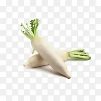 大豆 蔬菜 萝卜-空若网 大豆 蔬菜 萝卜-空若网