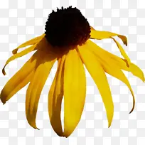 Ë®²Ê» ÑÕÁÏ ÊªÄ«-¿ÕÈôÍø Ë®²Ê» ÑÕÁÏ ÊªÄ«-¿ÕÈôÍø