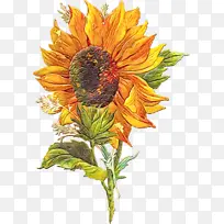 水彩画 颜料 湿墨-空若网 水彩画 颜料 湿墨-空若网