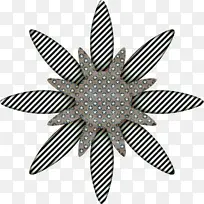 黑白 花瓣 植物-空若网 黑白 花瓣 植物-空若网