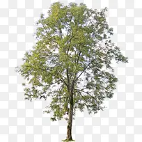 水彩画 油漆 湿墨-空若网 水彩画 油漆 湿墨-空若网