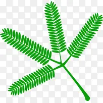 ˮ�ʻ� ���� ʪī-������