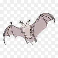 蝙蝠 卡通 翅膀-空若网 蝙蝠 卡通 翅膀-空若网