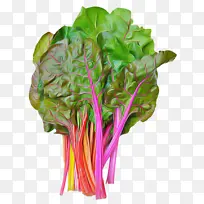 叶菜 甜菜 蔬菜-空若网 叶菜 甜菜 蔬菜-空若网