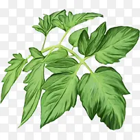 Ë®²Ê» ÑÕÁÏ ÊªÄ«-¿ÕÈôÍø Ë®²Ê» ÑÕÁÏ ÊªÄ«-¿ÕÈôÍø