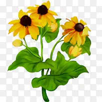 水彩画 颜料 湿墨-空若网 水彩画 颜料 湿墨-空若网