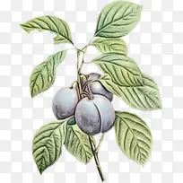 Ë®²Ê» ÓÍÆá ʪī-¿ÕÈôÍø Ë®²Ê» ÓÍÆá ʪī-¿ÕÈôÍø