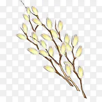 Ë®²Ê» ÑÕÁÏ ÊªÄ«-¿ÕÈôÍø Ë®²Ê» ÑÕÁÏ ÊªÄ«-¿ÕÈôÍø