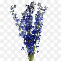 ˮ�� ���� ʪī-������