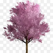 水彩画 颜料 湿墨-空若网 水彩画 颜料 湿墨-空若网