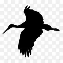 �� � ���-������