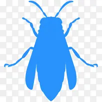 昆虫 蓝色 钴蓝色-空若网 昆虫 蓝色 钴蓝色-空若网