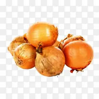 斑马 野生动物 动物形象-空若网 斑马 野生动物 动物形象-空若网